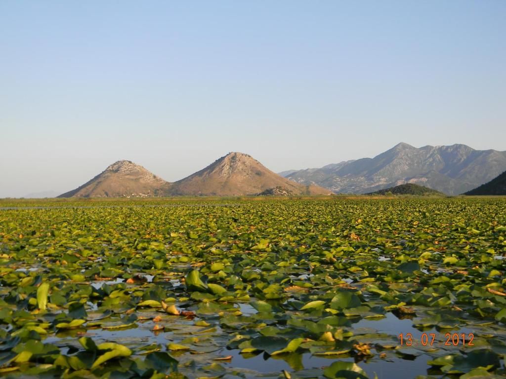 Апартаменты Skadar Lake Apartment Риека-Црноевича