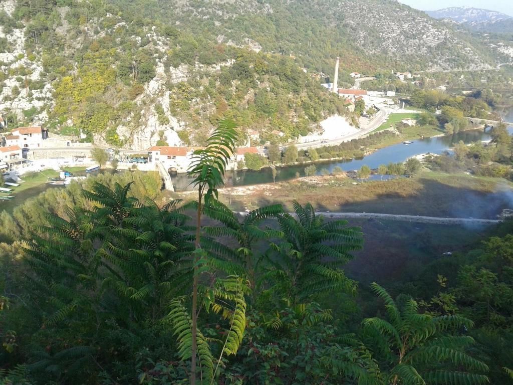 Апартаменты Skadar Lake Apartment Риека-Црноевича