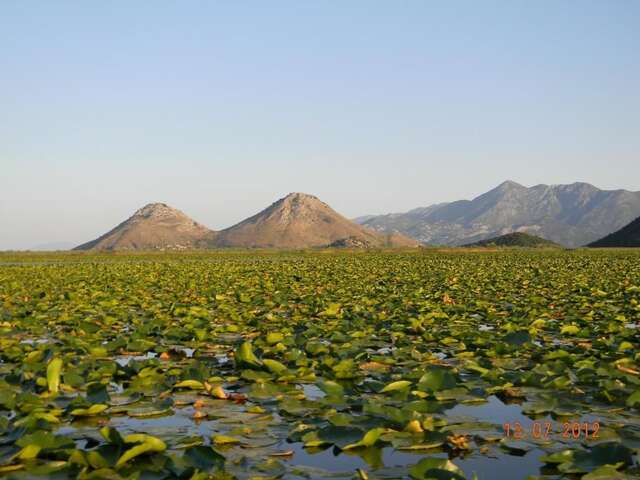 Апартаменты Skadar Lake Apartment Риека-Црноевича-57