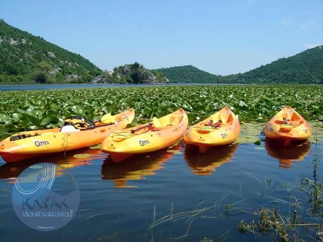 Апартаменты Skadar Lake Apartment Риека-Црноевича-10